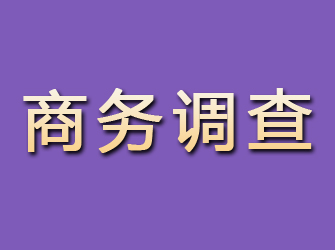 潘集商务调查